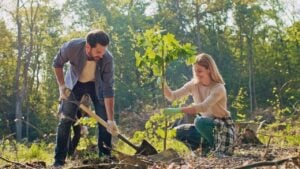 Delightful couple working together during forestation work. Beautiful Caucasian man and cute young woman planting trees with other volunteers. Helping nature and environment.