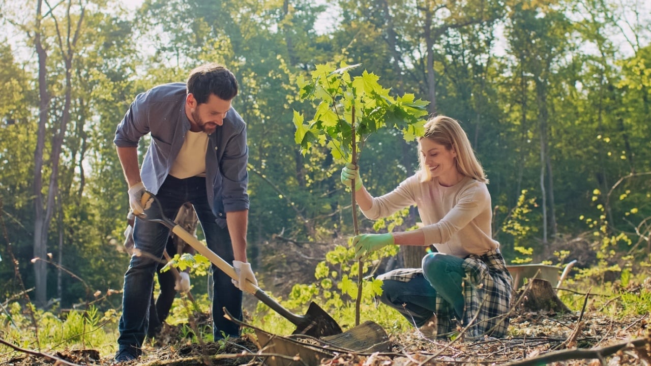 Delightful couple working together during forestation work. Beautiful Caucasian man and cute young woman planting trees with other volunteers. Helping nature and environment.