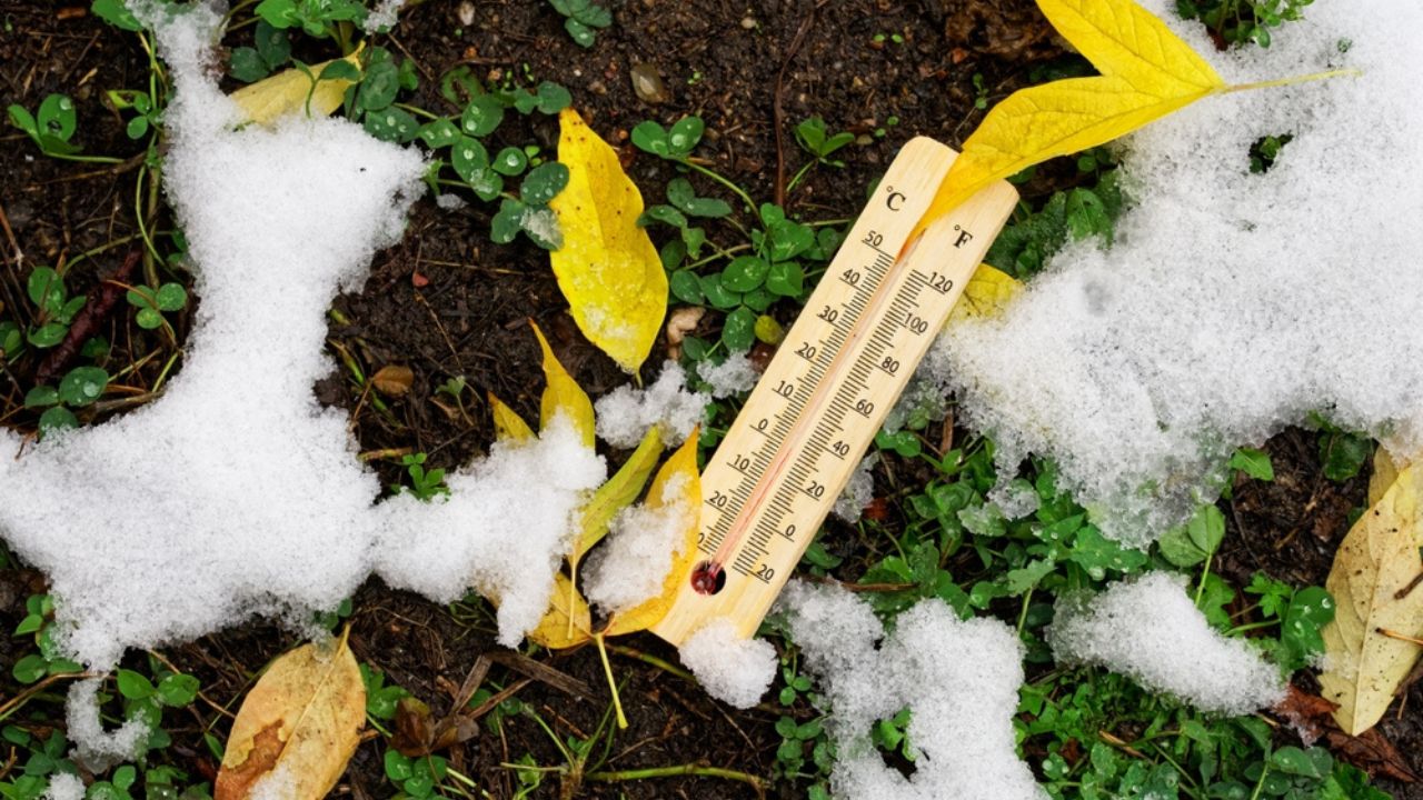 Thermometer showing zero degrees lies on the ground among freshly fallen snow, green grass and yellow autumn foliage. Soil temperature. Cold snap, frosts and the first snow. Close-up
