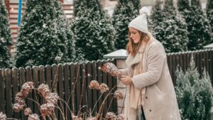 Young woman in winter clothes and knitted white hat with scarf in the winter garden chooses snow - covered hydrangeas for New Year 's decor . Snow is falling. Garden in winter. Frozen plants.