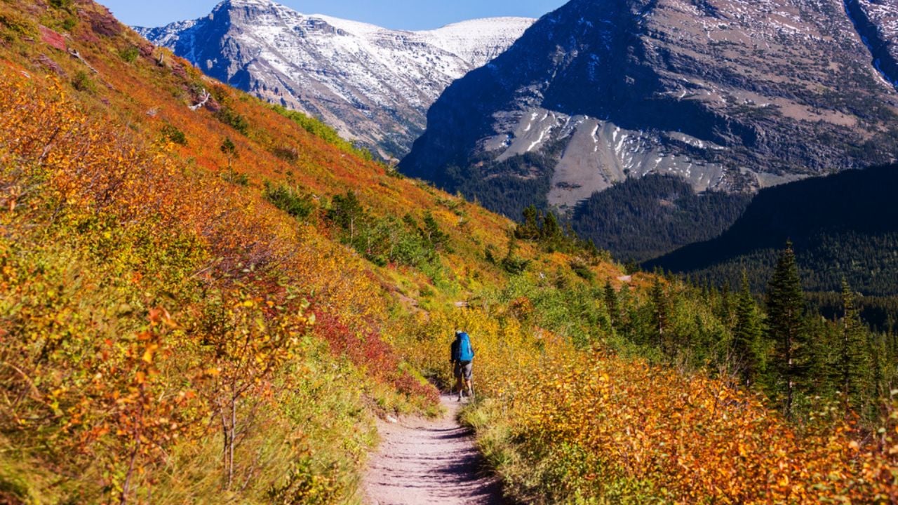 Autumn view in Glacier National Park, Montana, United States