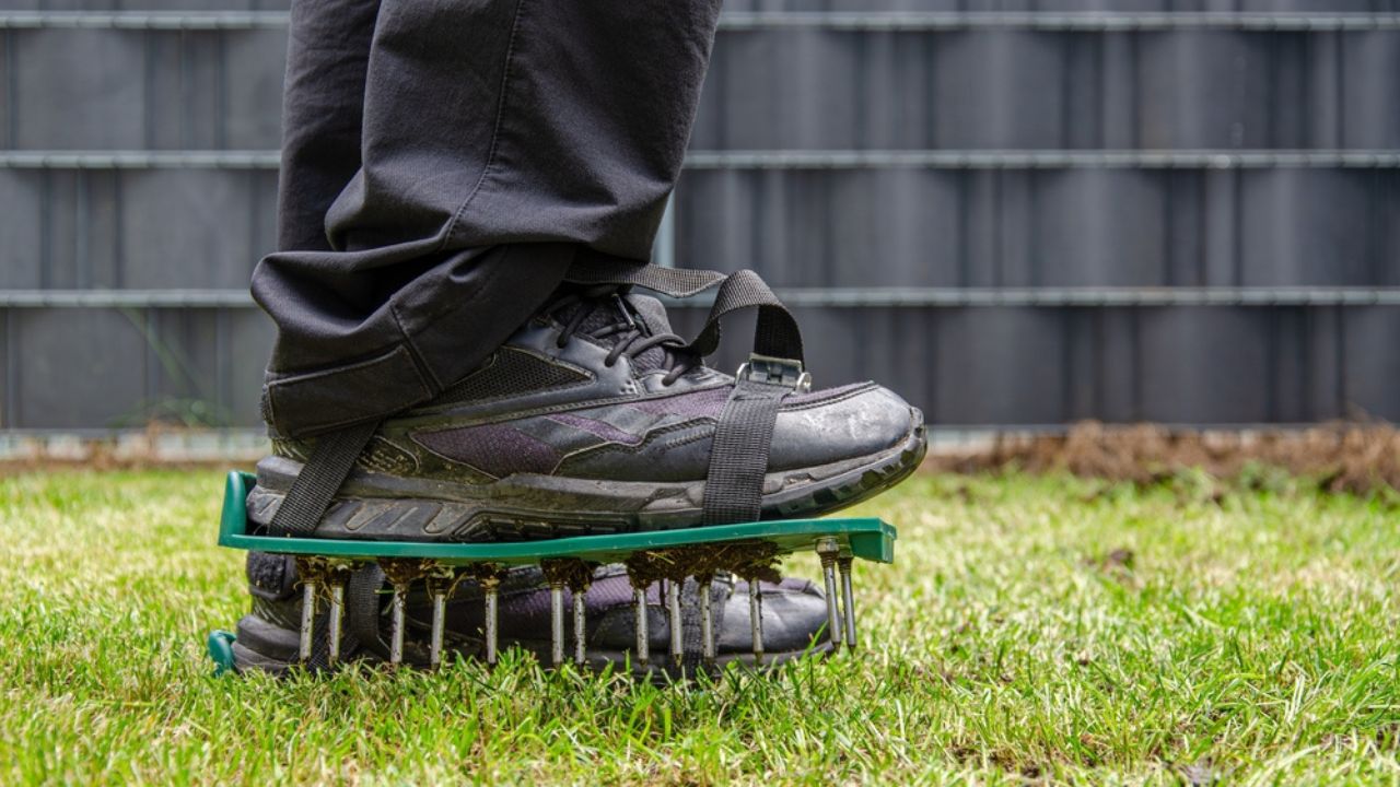 Close-up of lawn aerating shoes with metal spikes.