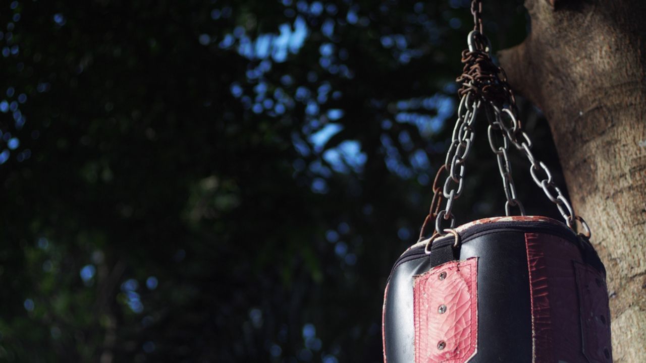 Crop closeup of an old grunge weathered leather boxing punching bag hanging in a private backyard home fitness area selective focus blur dark green garden plants background outdoor