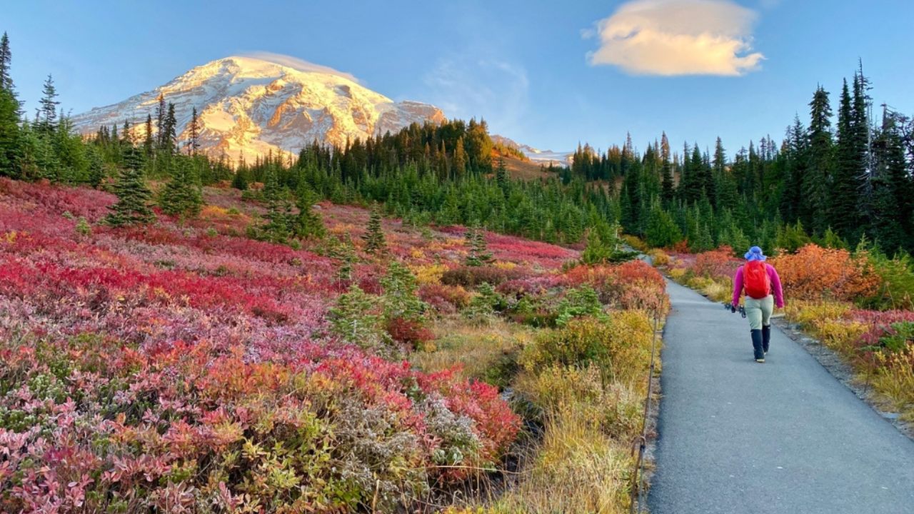 Hikers at mount rainier with fall colors