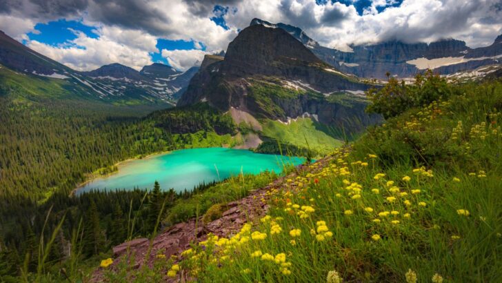 14 Breathtaking Wildflower Hikes in the U.S.