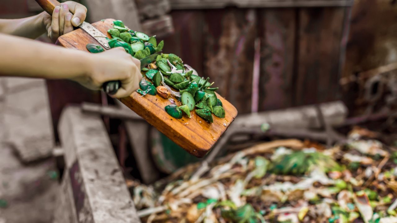 Responsible human (man, woman, kid, girl, guy) hands throwing away veg remains to the compost recycling container.