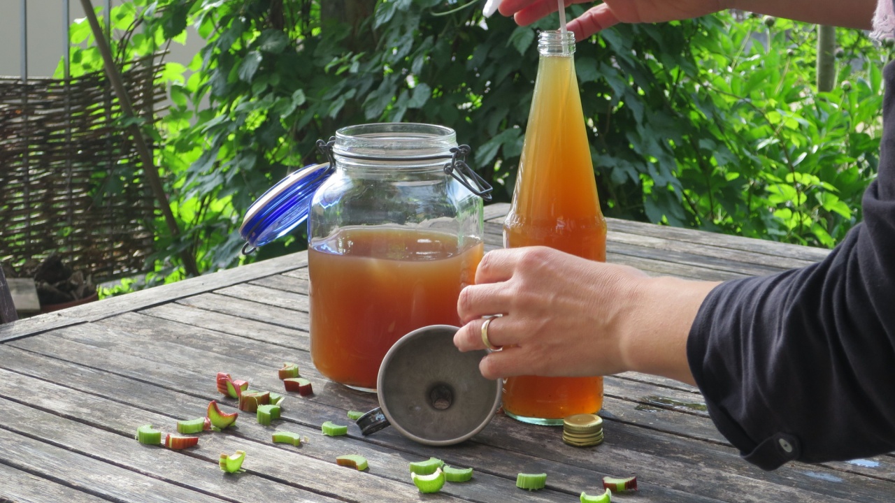 A organic fertilizer manure for organic farming or gardening. Homemade organic fertilizer. Self-made garden fertiliser. Organic liquid fertilizer. tea fertilizer to provide nutrient to plants.