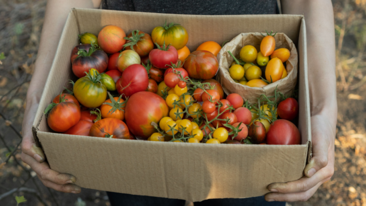 Inflation-Proof Your Kitchen with 10 Foods You Can Grow at Home