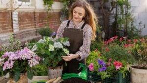 Young woman repotting hydrangea and petunia plants outdoors with soil and tools, for website or banner content about home gardening and plant care.