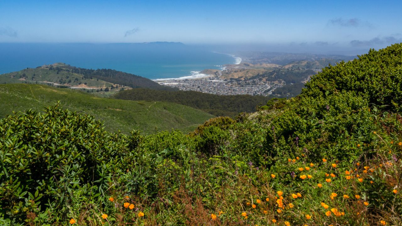 View of Linda Mar, California, and Pacifica Beach with Pacific Ocean in the distance with poppies and chaparral. Mount Tamalpais. Seen from trail to Montara Peak, McNee Ranch State Park