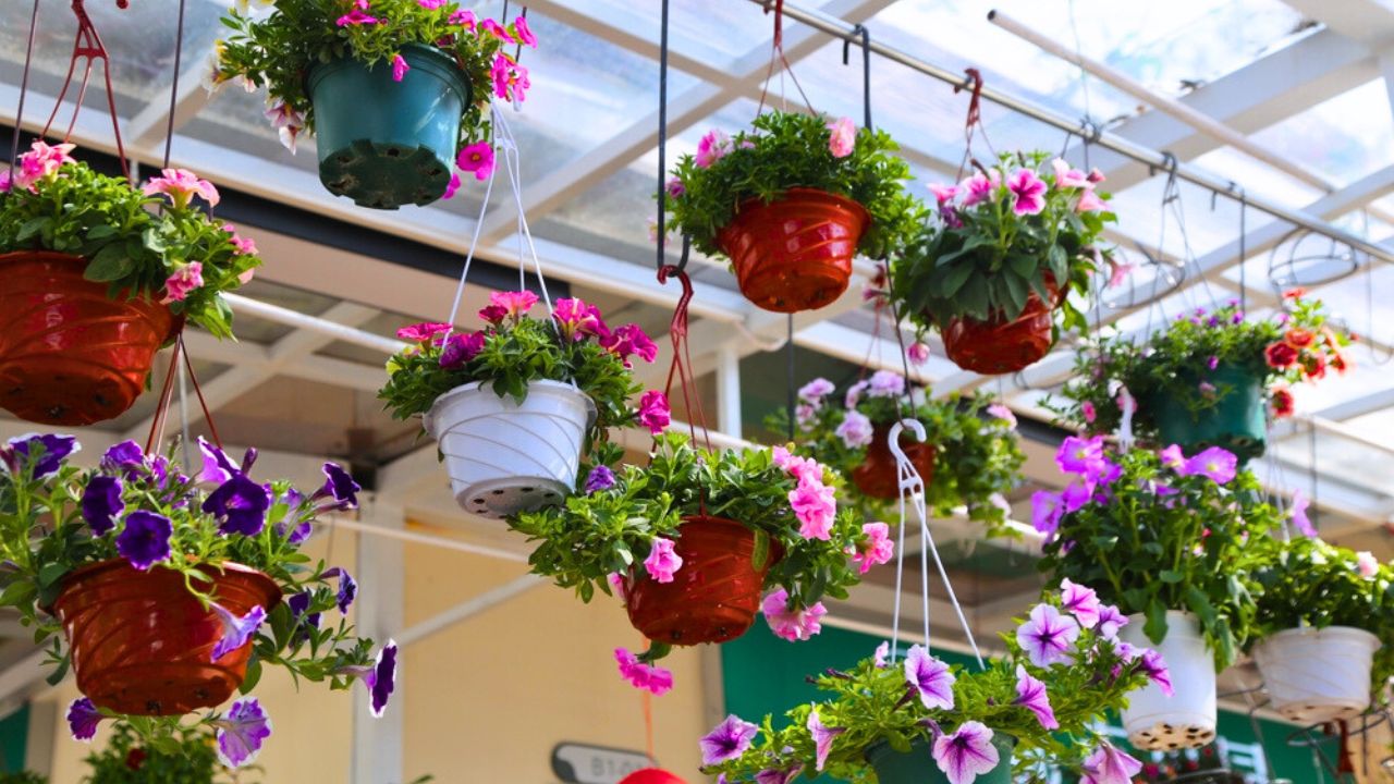 A hanging garden of potted plants with a variety of colors and sizes. The plants are arranged in a way that creates a sense of harmony and balance