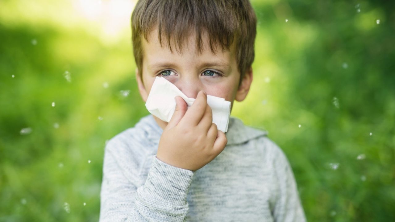 A little boy 4 years old blows his nose into a paper napkin against a background of greenery. Spring exacerbation of allergy to poplar fluff. Allergies in children hay fever