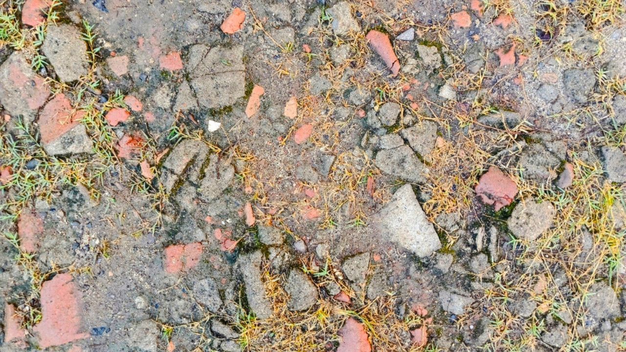 A patch of rough ground shows a mix of cracked concrete, broken red bricks, and sparse, dry grass. The surface is uneven and weathered