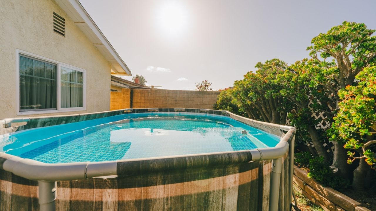 Backyard with an above-ground pool and lush green plants on a sunny day.