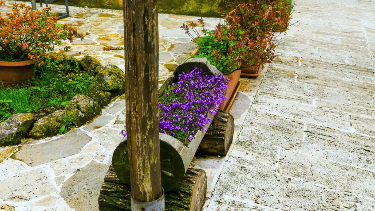Beautiful Flowers in Tuscany Italia hollowed logs vase