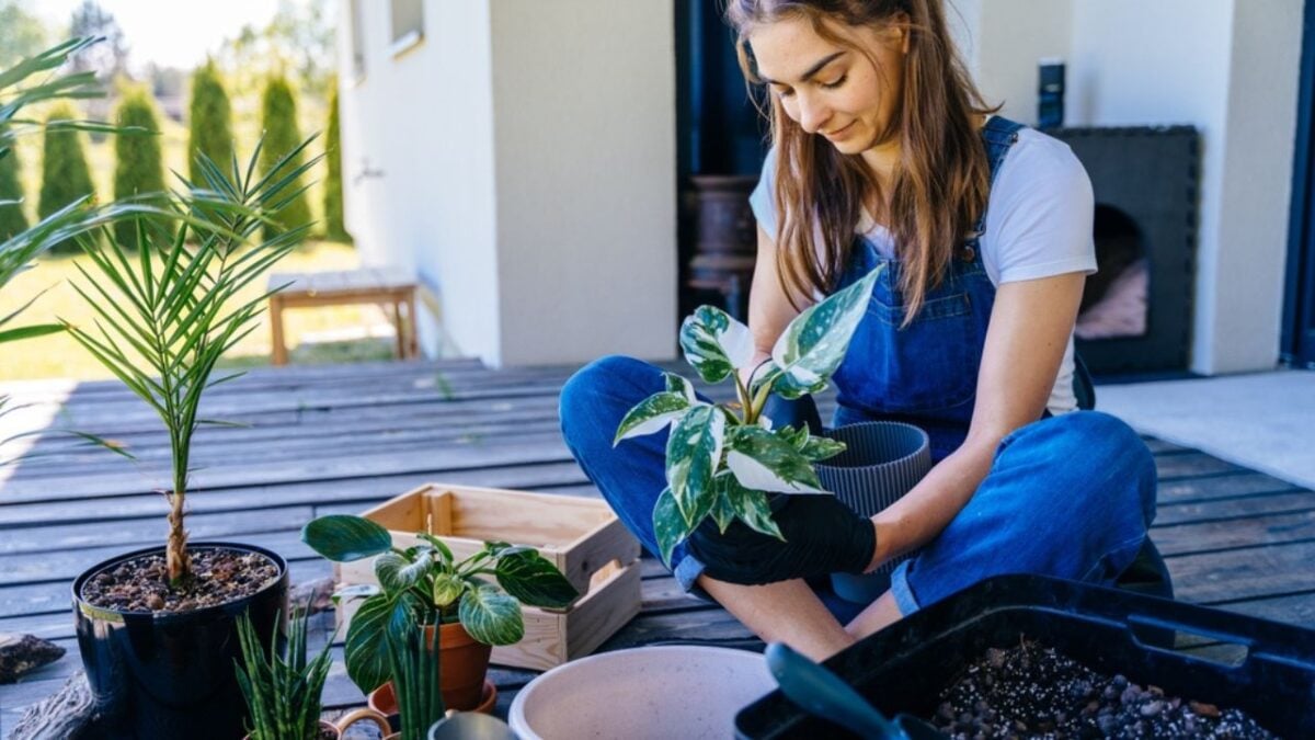 15 Handy Gardening Hacks For Busy People