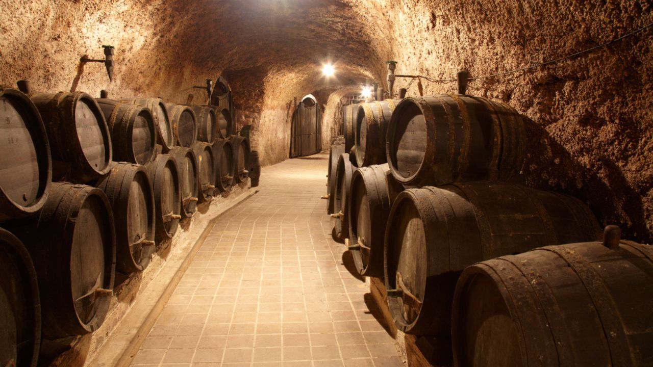 Corridor in winery