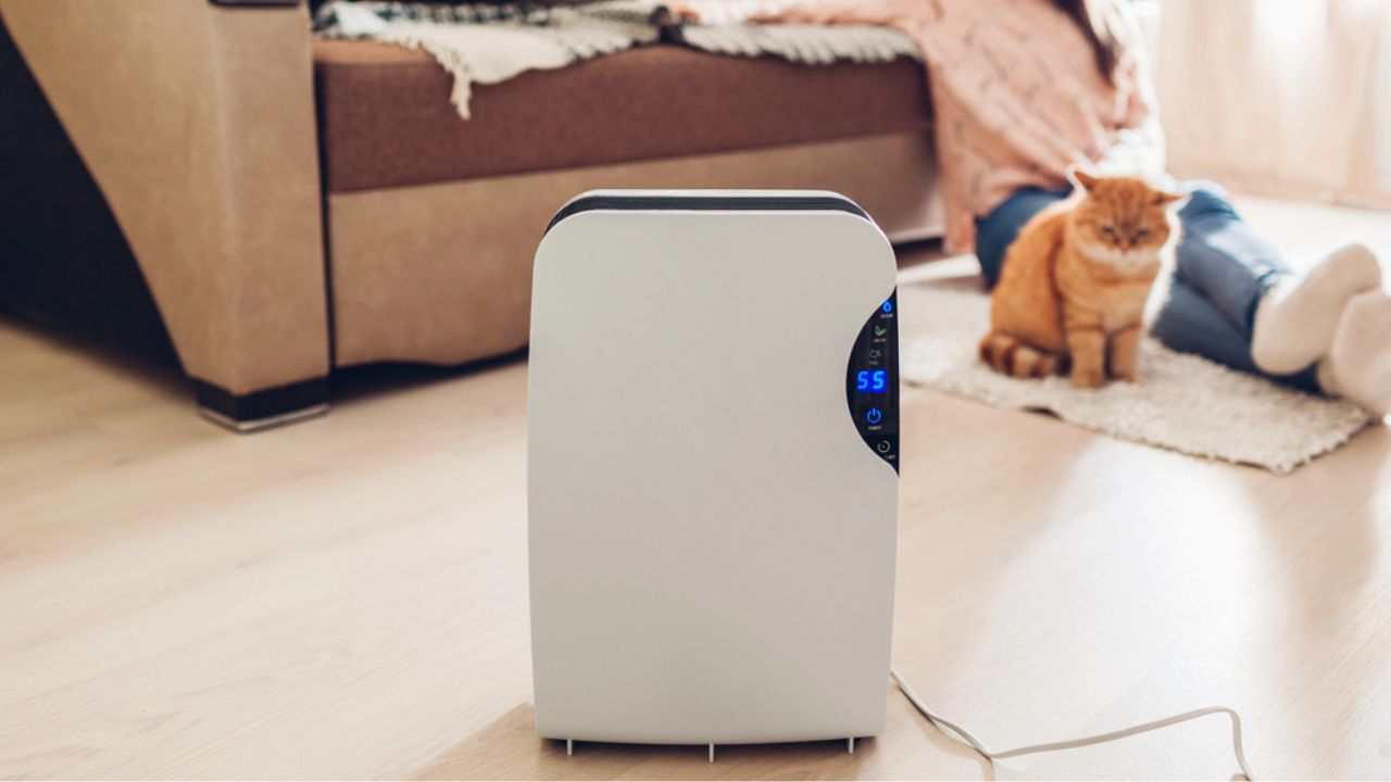Dehumidifier with touch panel, humidity indicator, uv lamp, air ionizer, water container works at home while people chilling.