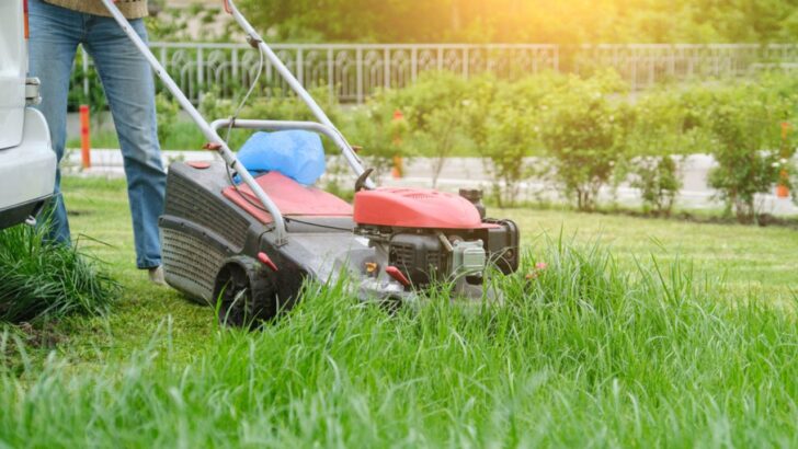 23 Things You Shouldn’t Do to Your Lawn