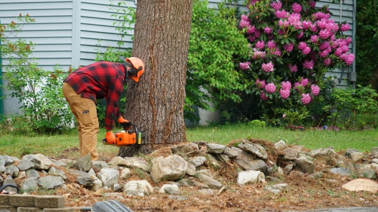 Manual worker removing tree in residential area