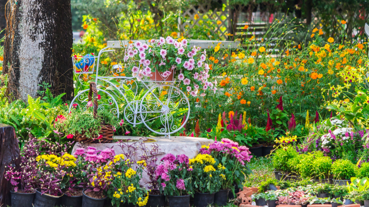 bike backyard cottage flowers