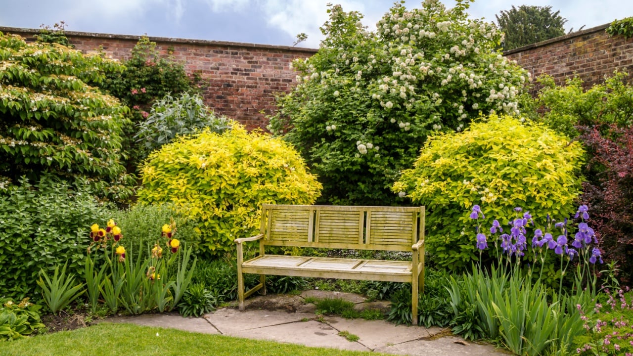 Three seater wooden bench in summer garden full of flowering plants and shrubs.
