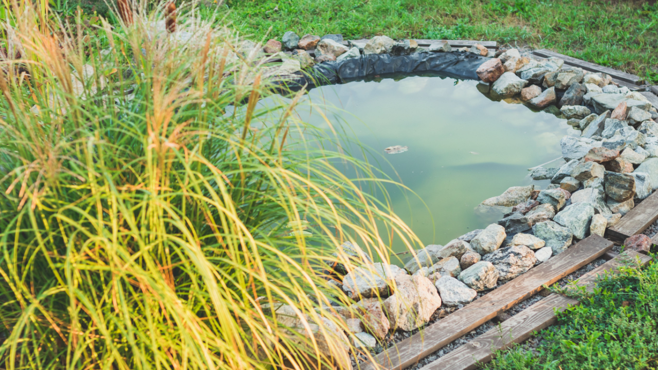 natural rock pool lake wiht ornamental grass