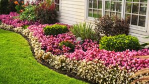 Flowerbed of colorful flowers against wall with windows