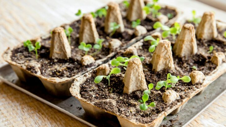 20 Community-Tested Gardening Tool Hacks to Make Life Easier