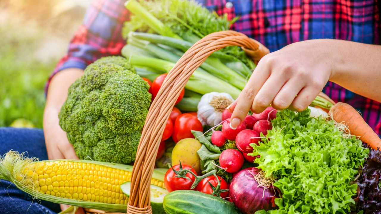 Basket with fresh vegetables (cabage, corn, carrots, cucumbers, radish, tomatoes) in farmer hands. Raw vegetable farm concept.