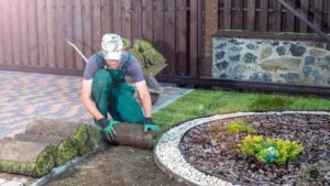 Landscape Gardener Laying Turf For New Lawn