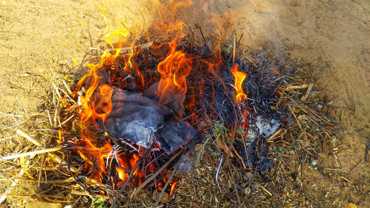Farmer burns weed in his field, some wild plants growing where it is not wanted and in competition with cultivated plants Farmer burns weed in his field, some wild plants growing where it is not wanted and in competition with cultivated plants