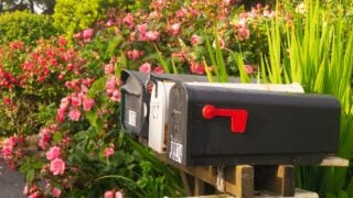 White picket fence and cute mail box covered in beautiful bright red and pink blooming flowers