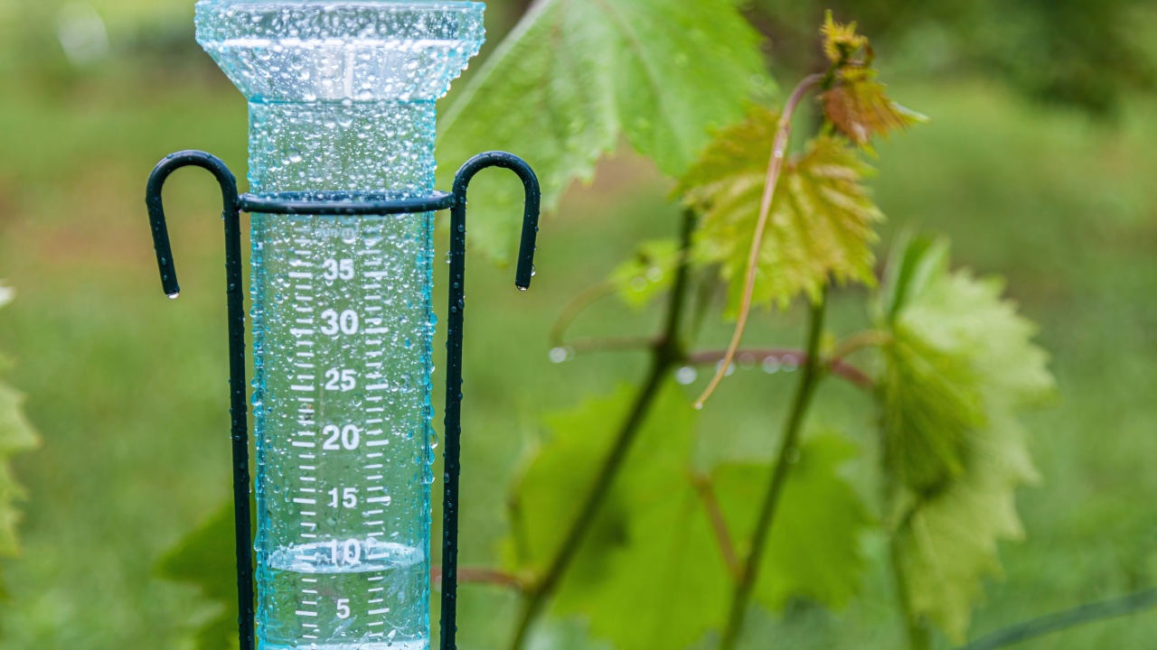 6. Rain Gauge Upgrade Image Credit: Shutterstock. The Hack: Add a few drops of food coloring to the bottom of your rain gauge. When rainwater collects, the coloring will tint the water, making it easier to read.  Why It’s Useful: Whether you rely on rain to water your garden or track how much fell during a storm, this hack ensures you can quickly check water levels at a glance. It’s especially helpful in dim lighting or for gardeners with less-than-perfect eyesight. 