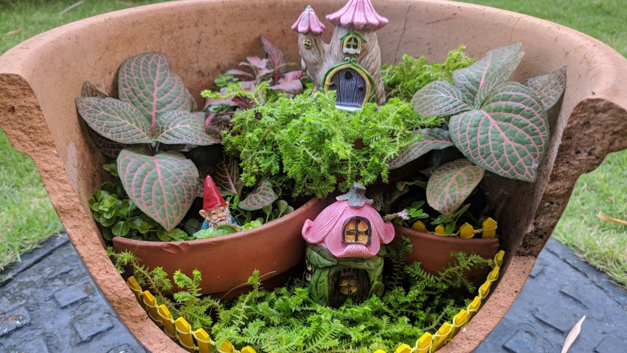Colorful fairy garden with fittonia and moss