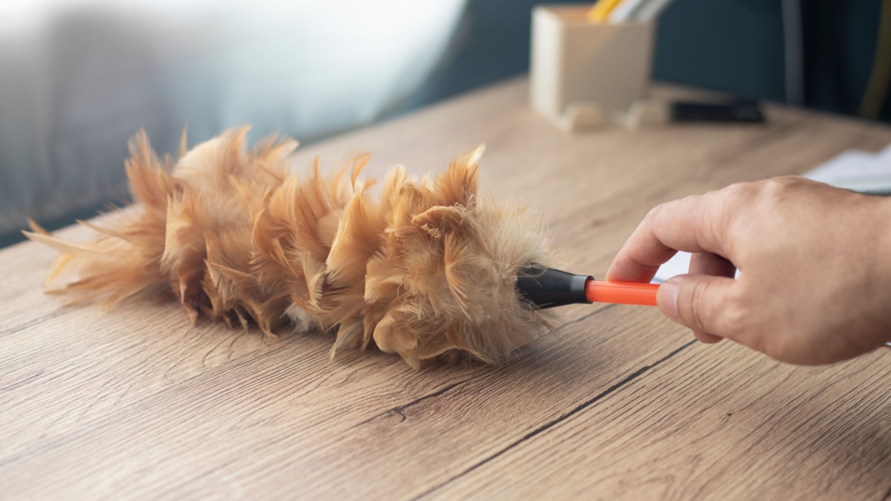 Use a feather duster to clean the table.
