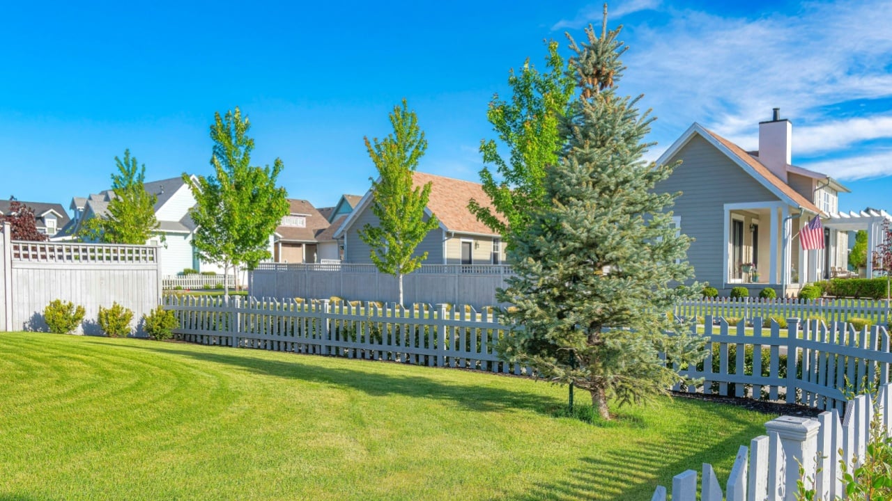 Panorama white clouds White picket fence of a yard with green lawn and pine tree at Daybreak, Utah. There are fenced houses with large yards