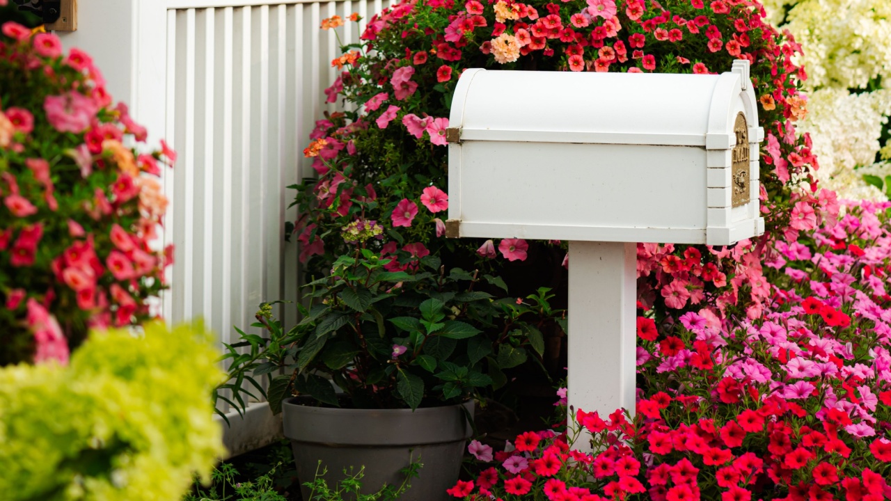 White picket fence and cute mail box covered in beautiful bright red and pink blooming flowers