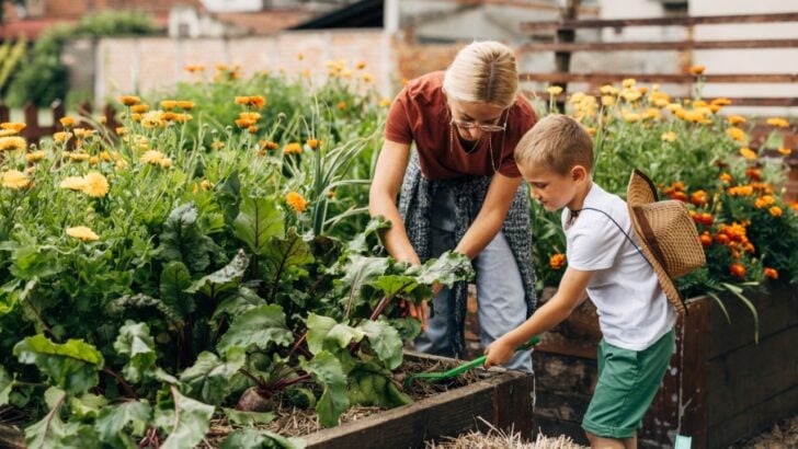 12 Legitimate Reasons Gardeners Are Happy and Healthy