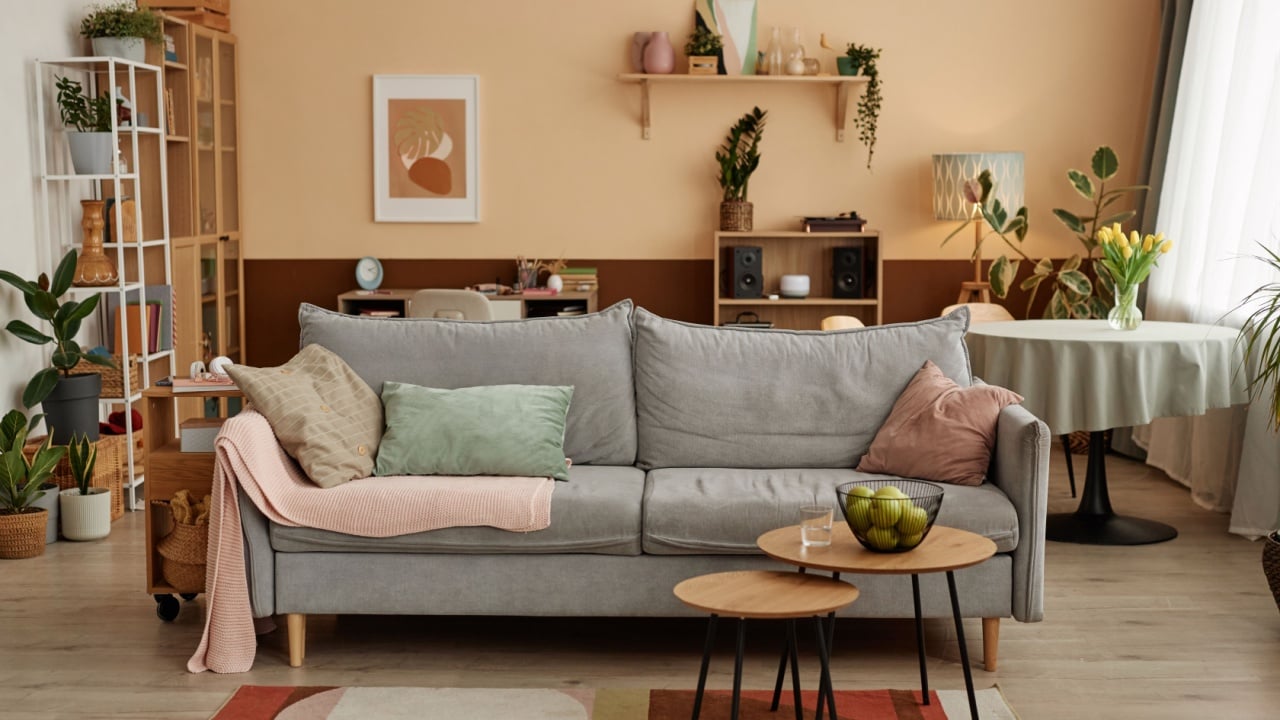 Front view background image of cozy living room interior with comfortable textile sofa and decor