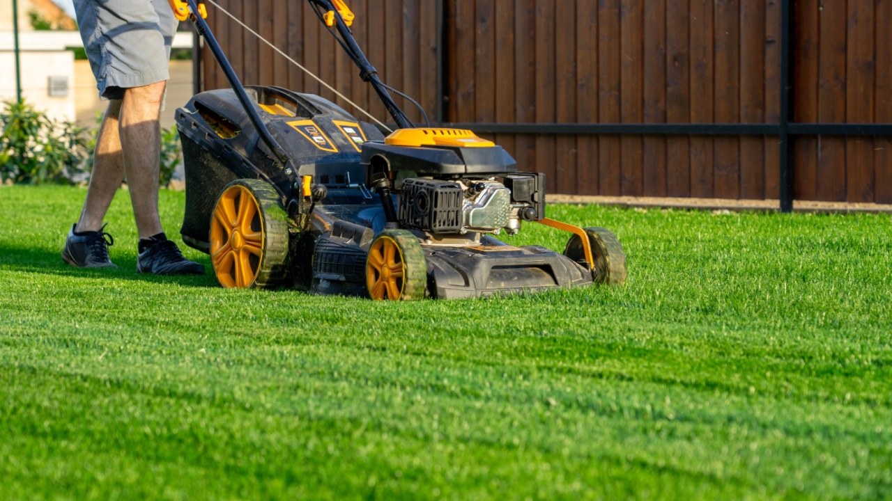 green grass cutting with lawn mower in home garden .