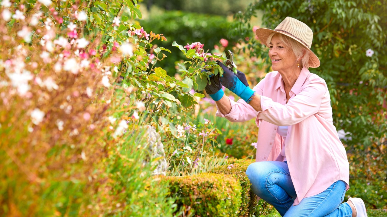 Senior Retired Woman Outdoors At Home Working In Summer Garden Together
