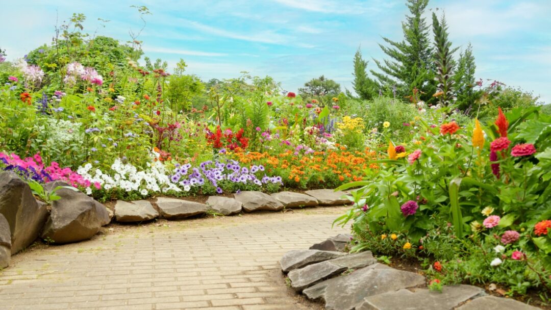 How To Build A Pollinator Garden In 8 Simple Steps