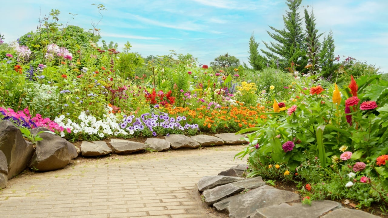 Flower beds and cobblestone walkways in an English garden filled with a variety of colorful flowers