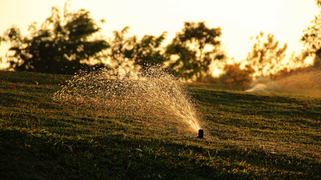 A sunlit lawn with a sprinkler casting droplets into the air, creating a sparkling effect against the golden glow of the setting sun.