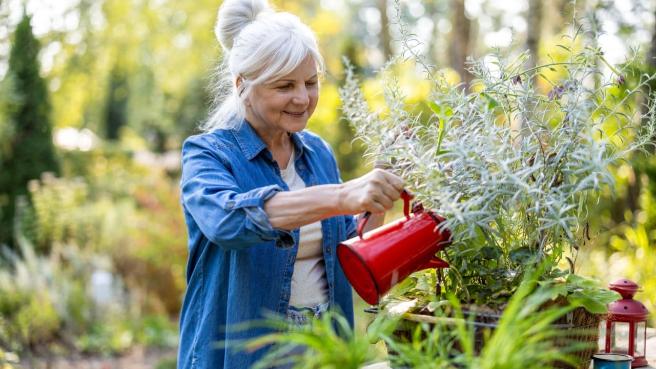 Mature woman watering plants in her garden