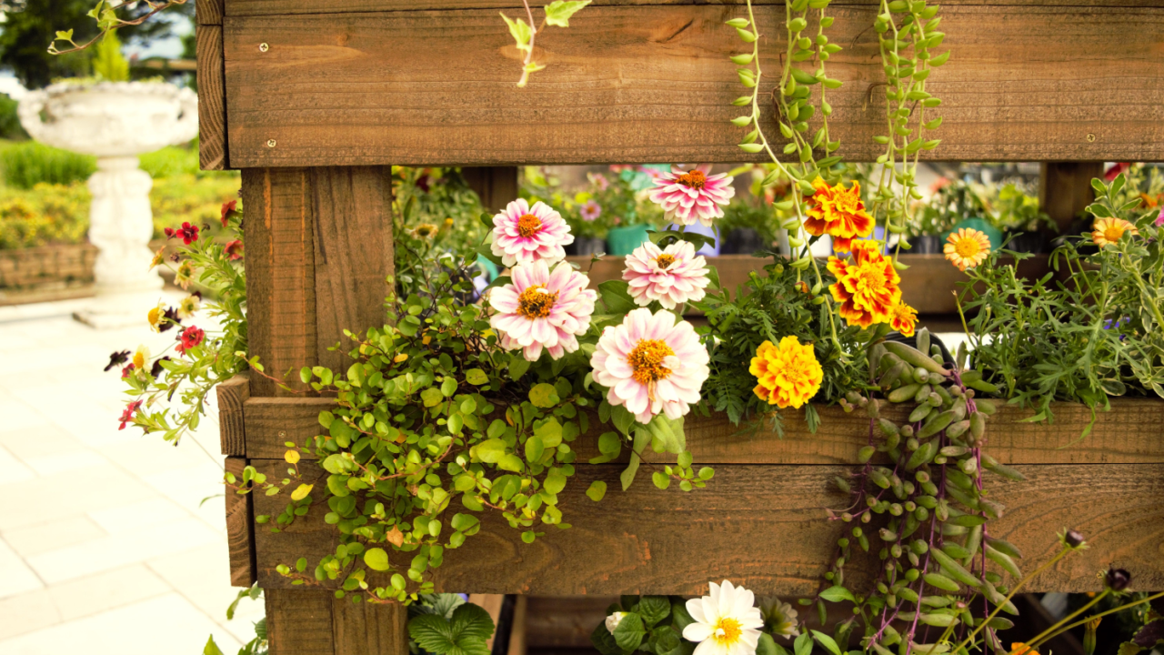 zinnia marigolds garden bench wood pallet