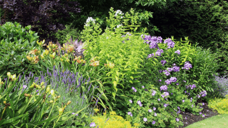 Plants You Shouldn’t Water, Fertilize, or Prune in Summer (Even Though Most Do)