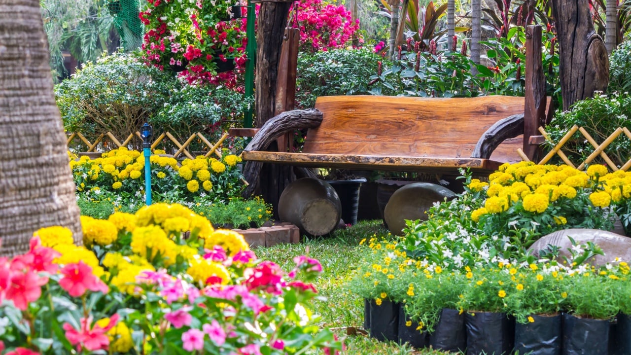 Wood chair in the flowers garden./ Flowers in the garden.