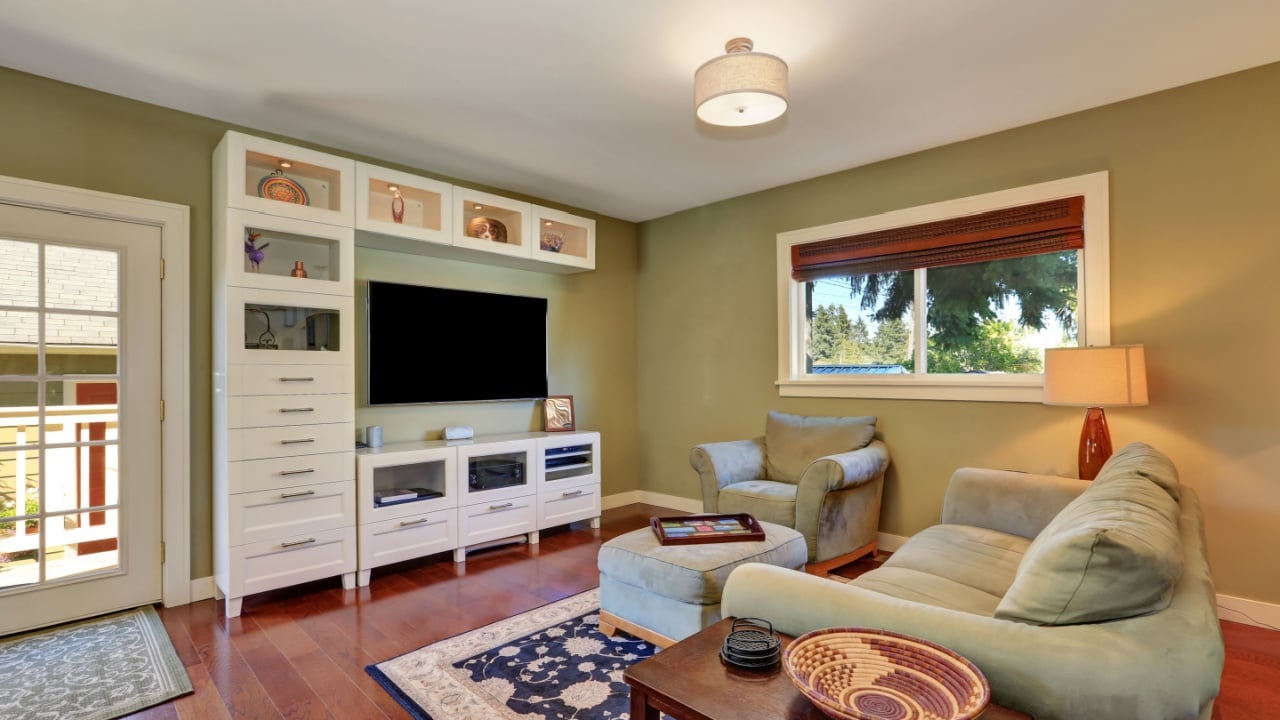 Small cozy living room interior with olive sofa and white storage combination with TV. Northwest, USA